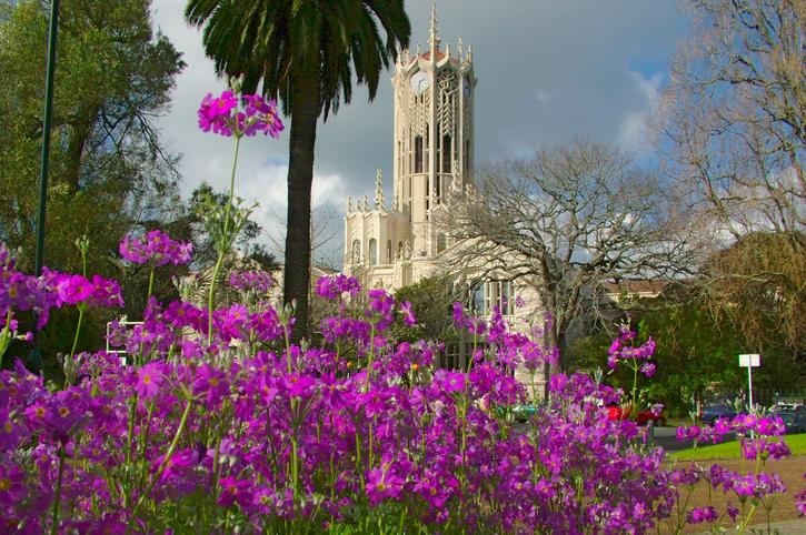 university_of_auckland_tower.jpg